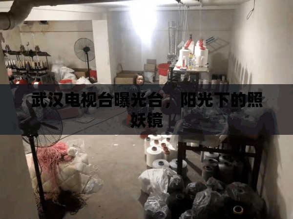 武漢電視臺(tái)曝光臺(tái)，陽(yáng)光下的照妖鏡