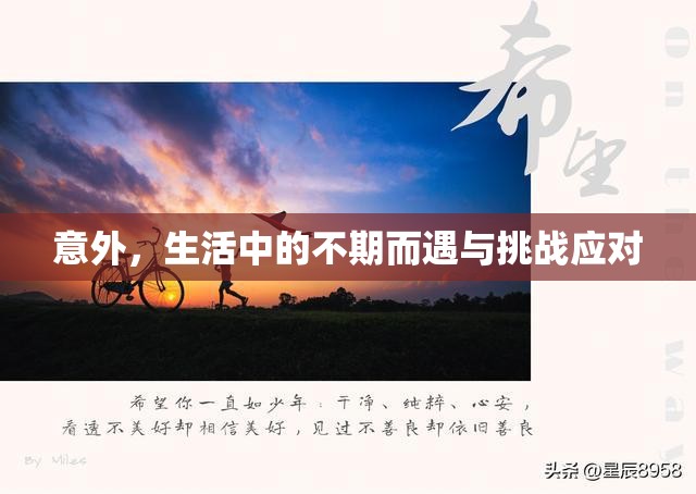 意外，生活中的不期而遇與挑戰(zhàn)應對