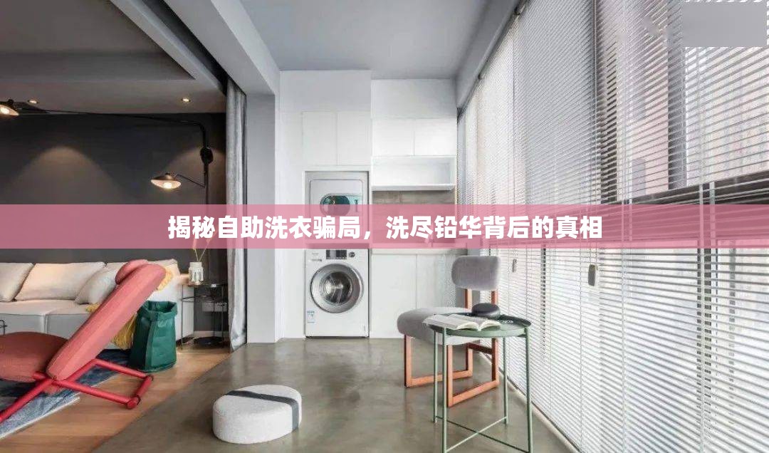 揭秘自助洗衣騙局，洗盡鉛華背后的真相