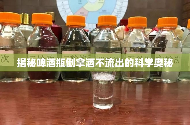 揭秘啤酒瓶倒拿酒不流出的科學(xué)奧秘