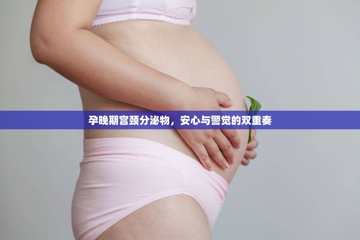 孕晚期宮頸分泌物，安心與警覺(jué)的雙重奏