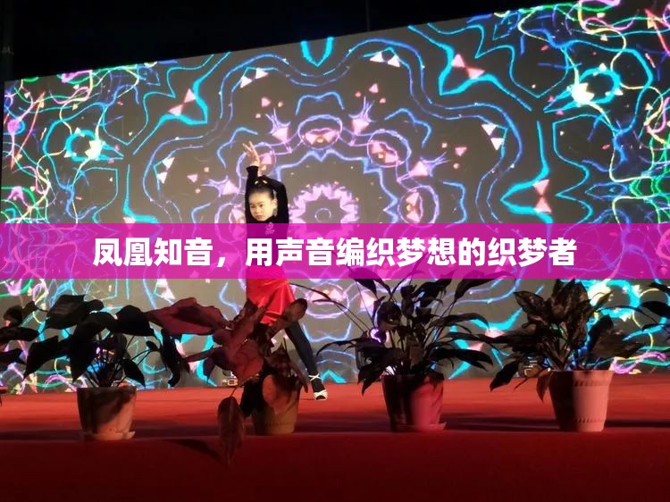 鳳凰知音，用聲音編織夢想的織夢者