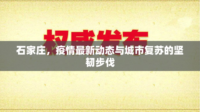石家莊，疫情最新動態(tài)與城市復(fù)蘇的堅韌步伐