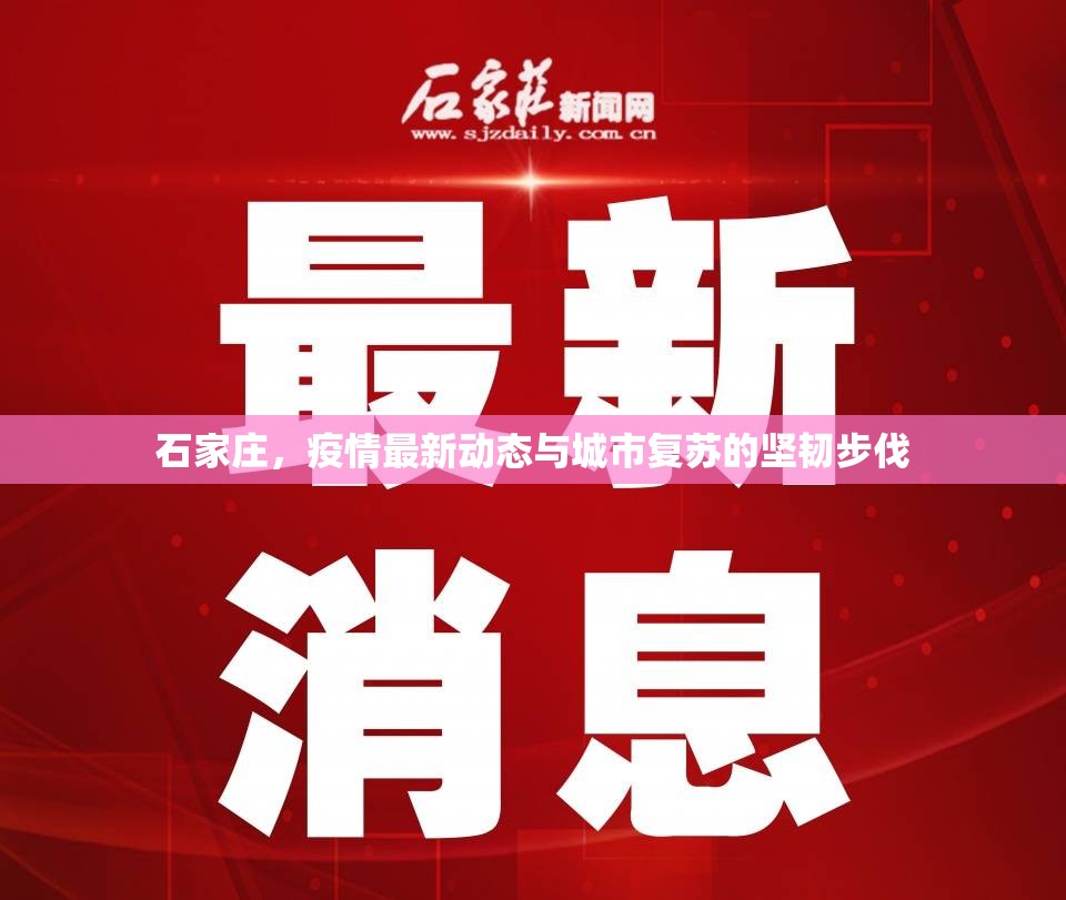 石家莊，疫情最新動態(tài)與城市復(fù)蘇的堅韌步伐