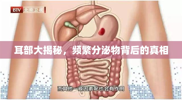 耳部大揭秘，頻繁分泌物背后的真相