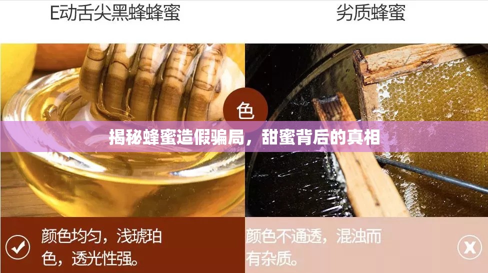 揭秘蜂蜜造假騙局，甜蜜背后的真相