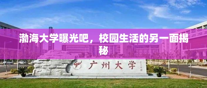渤海大學曝光吧，校園生活的另一面揭秘