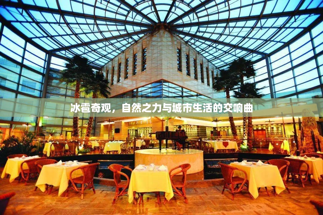冰雹奇觀，自然之力與城市生活的交響曲
