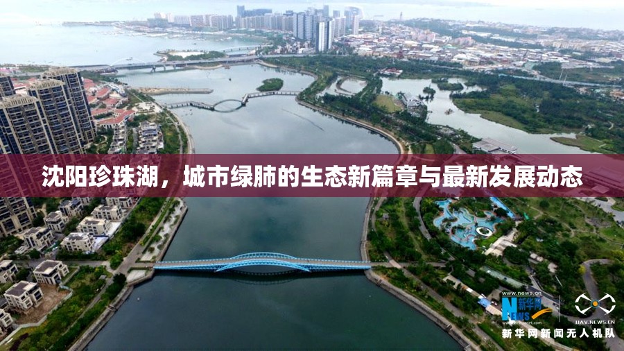 沈陽(yáng)珍珠湖，城市綠肺的生態(tài)新篇章與最新發(fā)展動(dòng)態(tài)