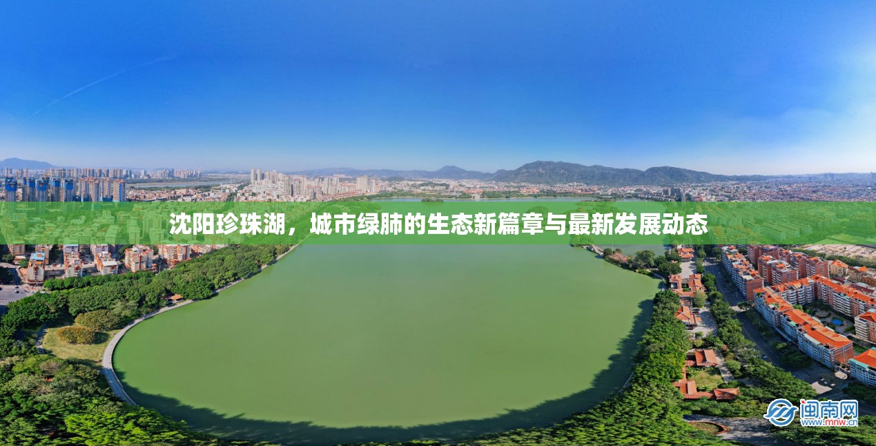 沈陽(yáng)珍珠湖，城市綠肺的生態(tài)新篇章與最新發(fā)展動(dòng)態(tài)