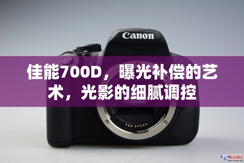 佳能700D，曝光補(bǔ)償?shù)乃囆g(shù)，光影的細(xì)膩調(diào)控