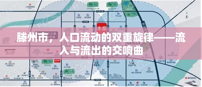 滕州市，人口流動的雙重旋律——流入與流出的交響曲