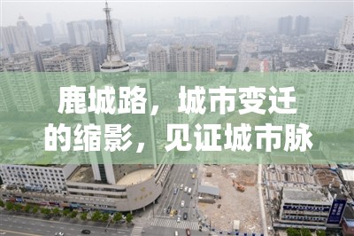 鹿城路，城市變遷的縮影，見證城市脈動的最新篇章