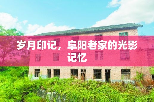 歲月印記，阜陽(yáng)老家的光影記憶