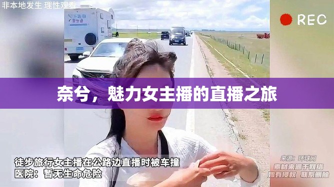 奈兮，魅力女主播的直播之旅