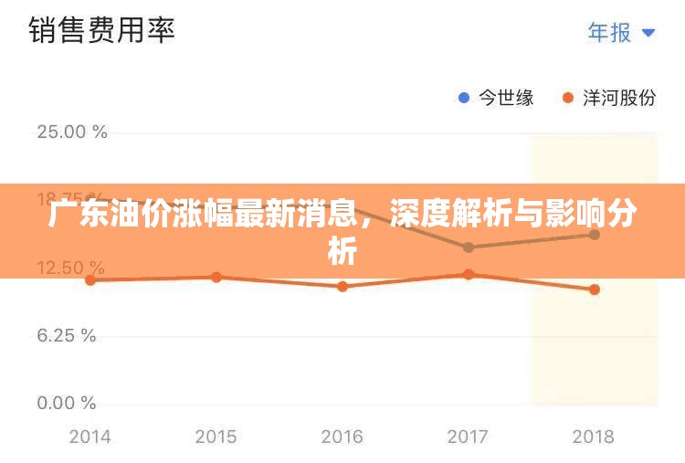 廣東油價漲幅最新消息，深度解析與影響分析