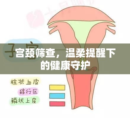 宮頸篩查，溫柔提醒下的健康守護