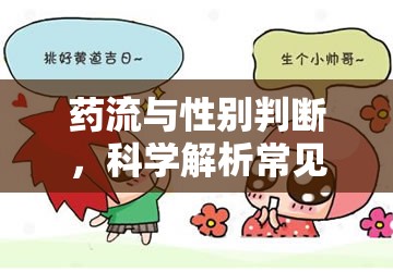 藥流與性別判斷，科學(xué)解析常見誤區(qū)