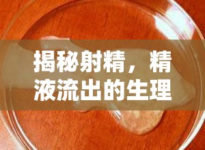 揭秘射精，精液流出的生理機(jī)制