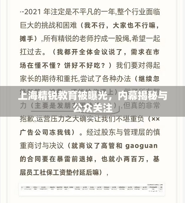 上海精銳教育被曝光，內(nèi)幕揭秘與公眾關(guān)注