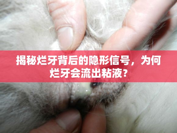 揭秘爛牙背后的隱形信號(hào)，為何爛牙會(huì)流出粘液？