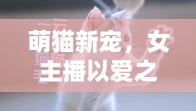 萌貓新寵，女主播以愛(ài)之名點(diǎn)亮直播新風(fēng)尚