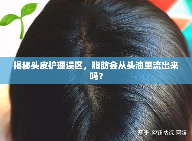 揭秘頭皮護(hù)理誤區(qū)，脂肪會(huì)從頭油里流出來嗎？