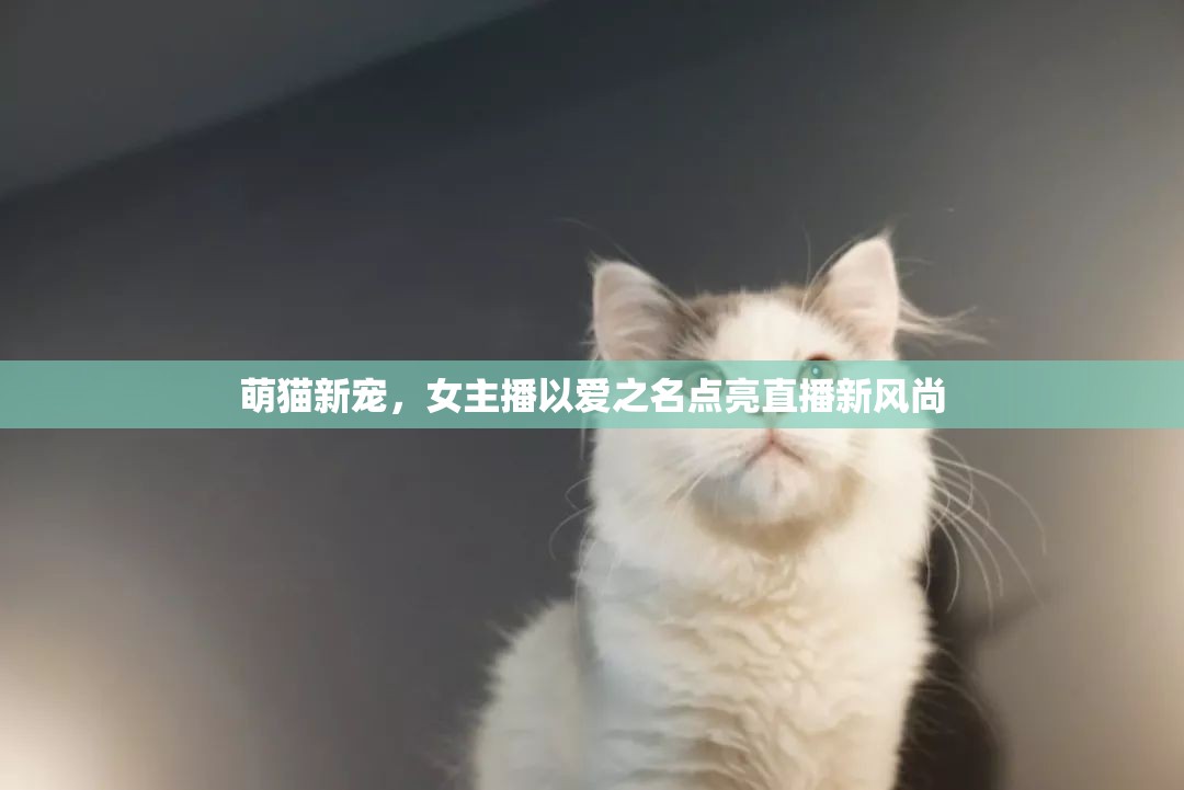 萌貓新寵，女主播以愛(ài)之名點(diǎn)亮直播新風(fēng)尚