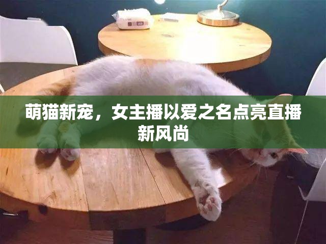 萌貓新寵，女主播以愛(ài)之名點(diǎn)亮直播新風(fēng)尚