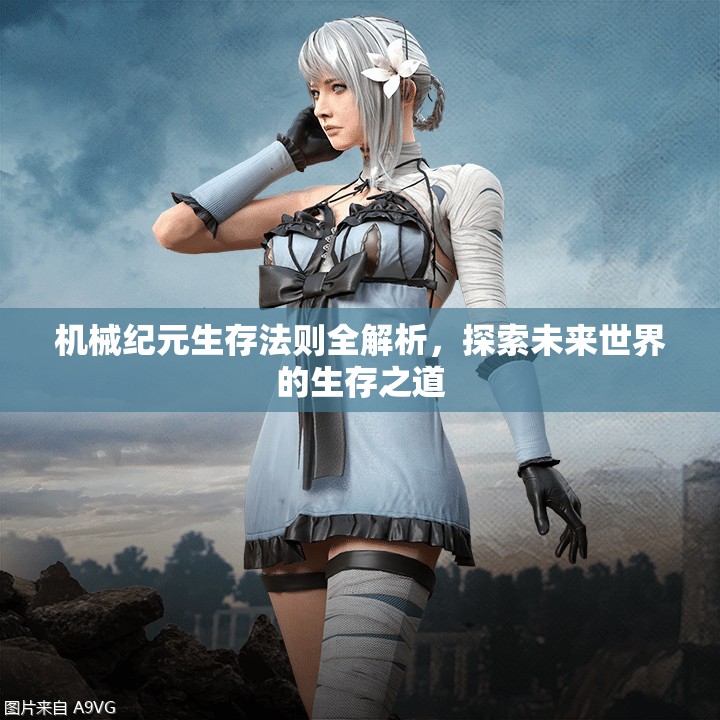 機械紀(jì)元生存法則全解析，探索未來世界的生存之道