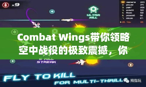 Combat Wings帶你領(lǐng)略空中戰(zhàn)役的極致震撼，你準備好了嗎？
