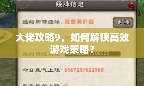 大佬攻略9，如何解鎖高效游戲策略？