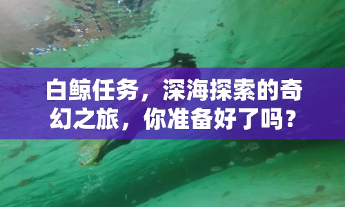白鯨任務(wù)，深海探索的奇幻之旅，你準(zhǔn)備好了嗎？
