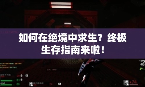 如何在絕境中求生？終極生存指南來(lái)啦！