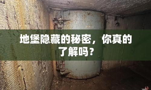 地堡隱藏的秘密，你真的了解嗎？