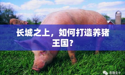 長城之上，如何打造養(yǎng)豬王國？