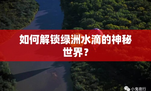 如何解鎖綠洲水滴的神秘世界？