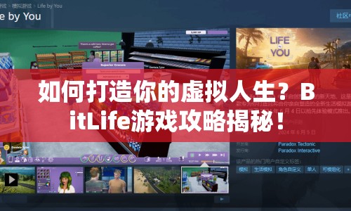 如何打造你的虛擬人生？BitLife游戲攻略揭秘！