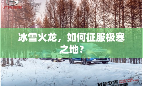 冰雪火龍，如何征服極寒之地？