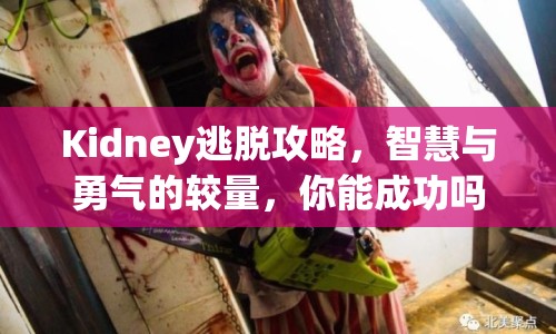 Kidney逃脫攻略，智慧與勇氣的較量，你能成功嗎？