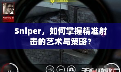Sniper，如何掌握精準(zhǔn)射擊的藝術(shù)與策略？