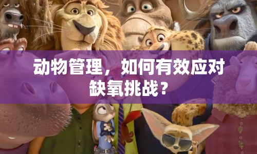 動(dòng)物管理，如何有效應(yīng)對(duì)缺氧挑戰(zhàn)？