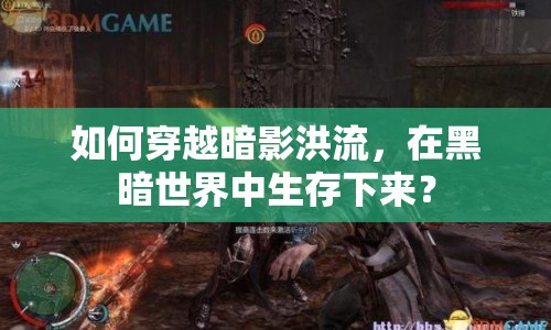 如何穿越暗影洪流，在黑暗世界中生存下來？