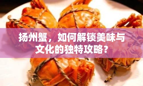 揚州蟹，如何解鎖美味與文化的獨特攻略？