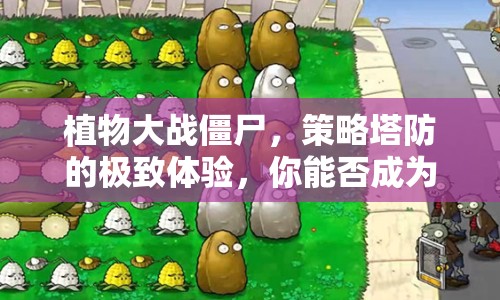 植物大戰(zhàn)僵尸，策略塔防的極致體驗，你能否成為最后的幸存者？