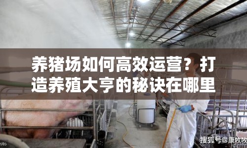 養(yǎng)豬場如何高效運營？打造養(yǎng)殖大亨的秘訣在哪里？
