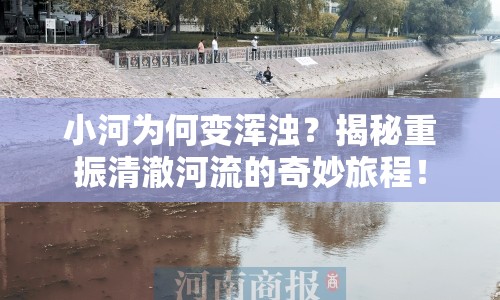 小河為何變渾濁？揭秘重振清澈河流的奇妙旅程！