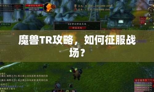 魔獸TR攻略，如何征服戰(zhàn)場？