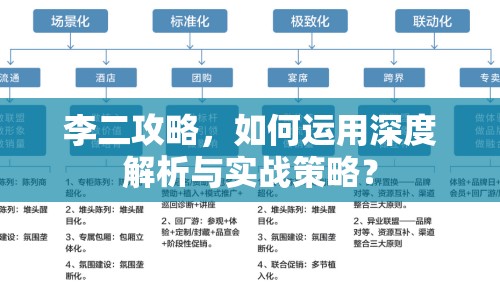 李二攻略，如何運(yùn)用深度解析與實(shí)戰(zhàn)策略？
