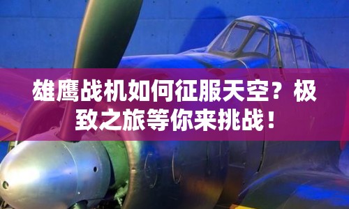 雄鷹戰(zhàn)機如何征服天空？極致之旅等你來挑戰(zhàn)！